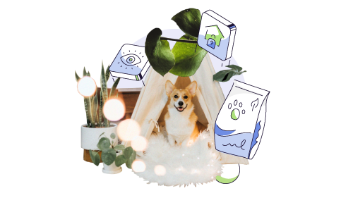 Best dog daycare software