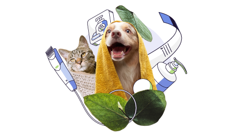 dog grooming appointment software
